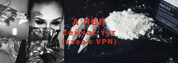apvp Инсар