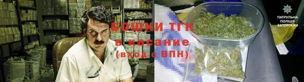 apvp Инсар