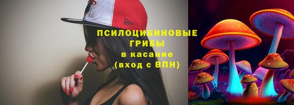 амф Инта
