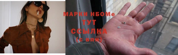 apvp Инсар