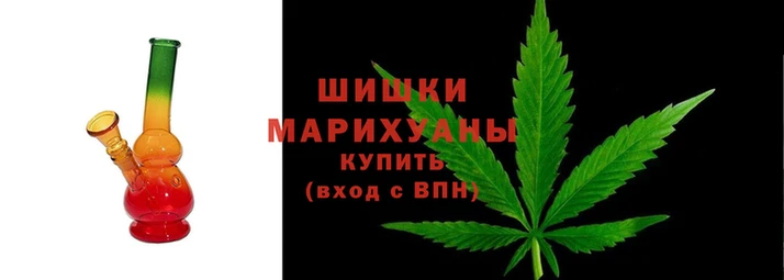 apvp Инсар