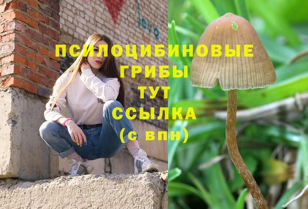 винт Иннополис
