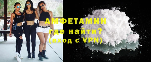 apvp Инсар