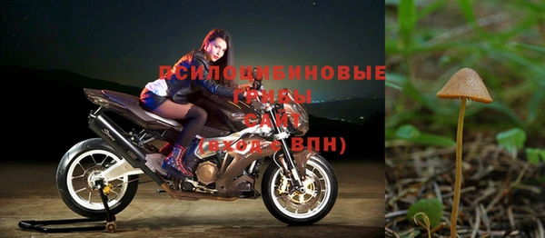 apvp Инсар